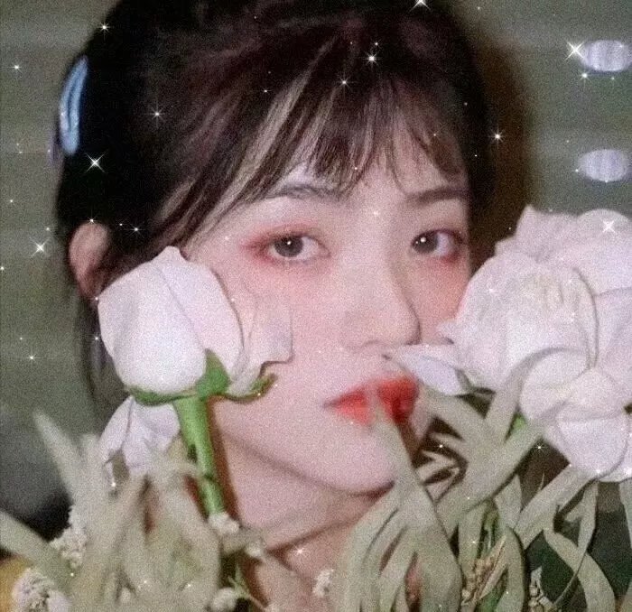 夏树